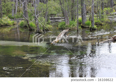 Kamikochi Mirara Clearstream 16108622