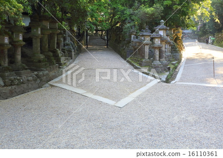 Nara Kasuga Taisha Shrine Kento方式 16110361