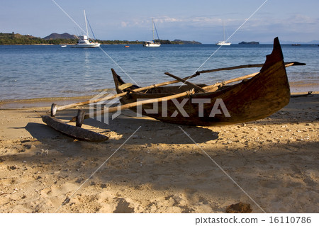 madagascar nosy be rock stone branch  16110786