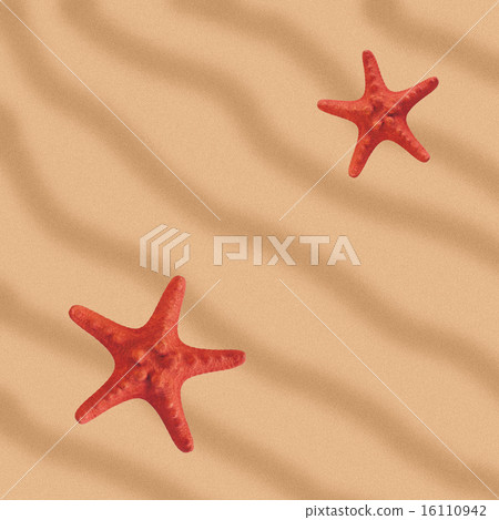 creativity, dunes, fauna 16110942