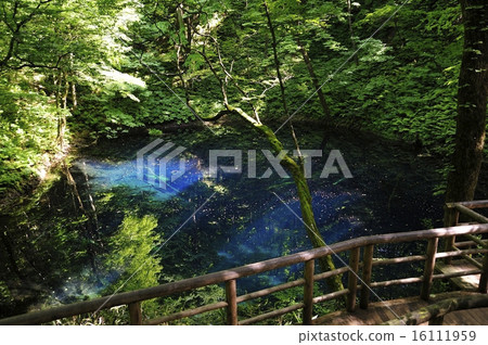 Fukaura Town, Juji Lake, Aoike 16111959