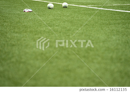 Lawn and rugby ball 16112135