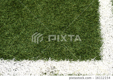 Grass pitch 16112154