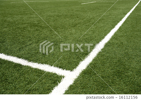 Grass pitch 16112156