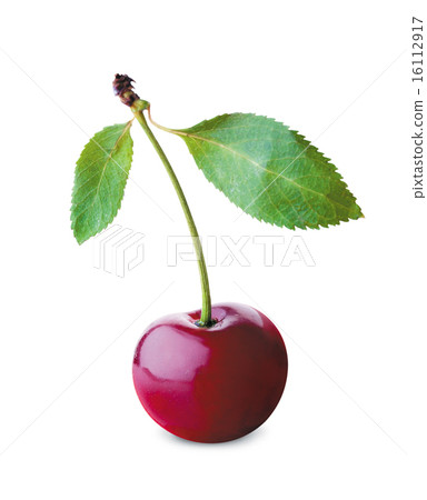 cherry 16112917