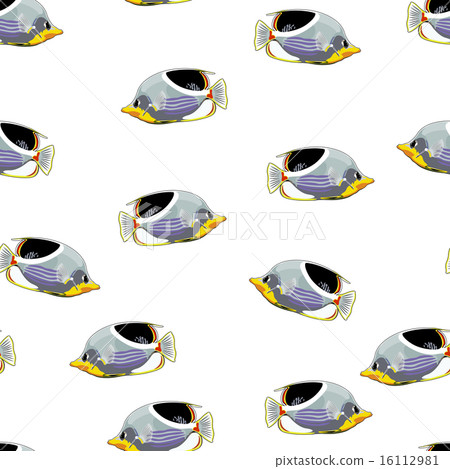 tropical fish vector seamless pattern 16112981