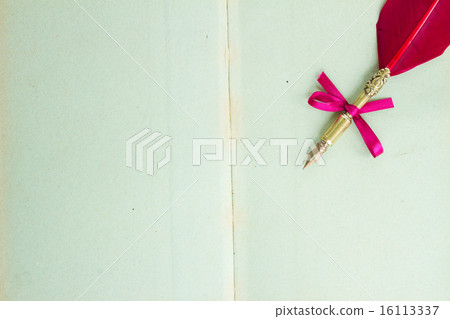 feather pen feather pen 16113337