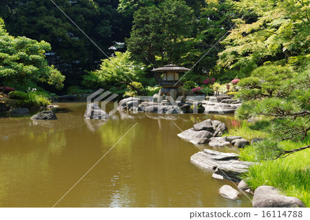 在年輕人的新鮮的綠色和石燈籠在海濱離開 16114788