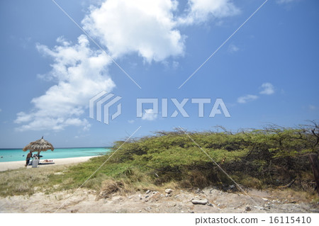 ARASHI Beach (Aruba) 16115410