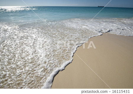 Afternoon Eagle Beach (Caribbean, Aruba) 16115431
