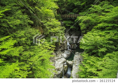 御手洗谷 16115514