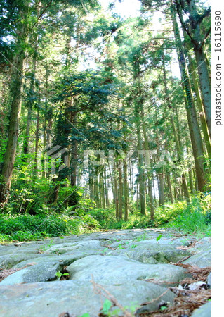 東海道Kanayazaka 16115690