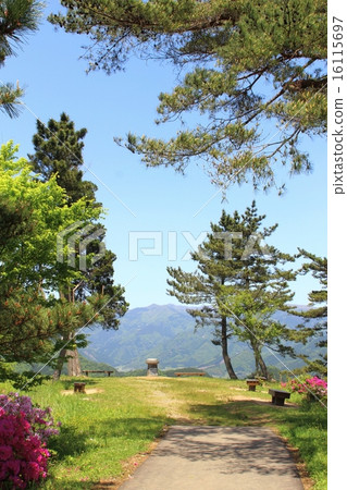 Scenic beauty 16115697