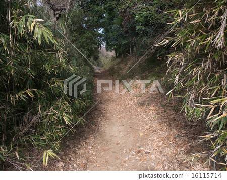 Unpaved path Unpaved path 16115714