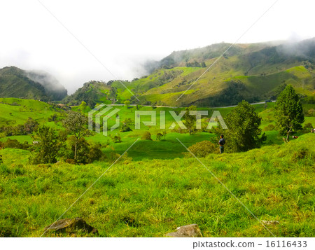 安第斯和雲彩的孩子 16116433