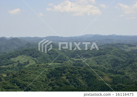 View from the hill 16116475