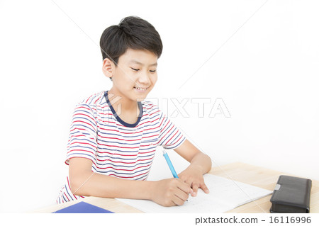 Boy studying Boy studying 16116996