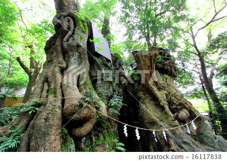Komiya Shrine Komiya Shrine 16117838