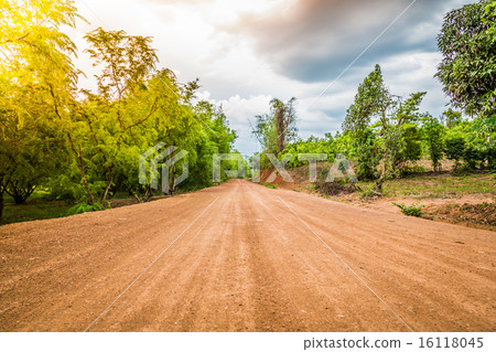 Road in forest ( Filtered image processed vintage effect. ) Road in forest ( Filtered image processed vintage effect. ) 16118045