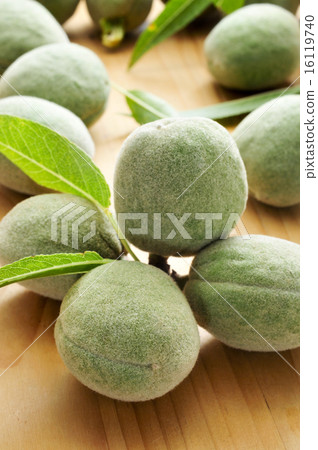 green almonds green almonds 16119740