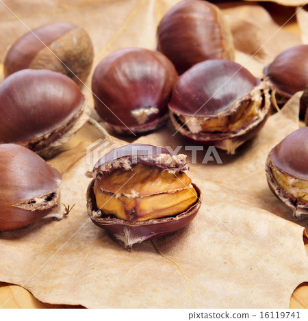 roasted chestnuts, typical snack in All Saints Day in Catalonia, roasted chestnuts, typical snack in All Saints Day in Catalonia, 16119741
