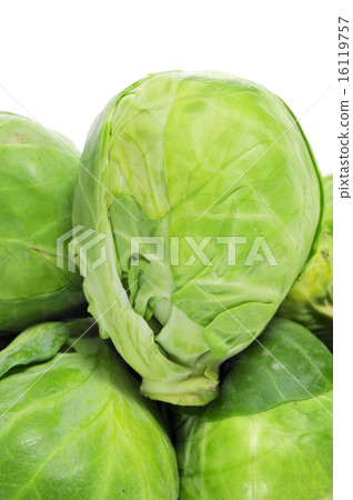 Brussels sprouts 16119757
