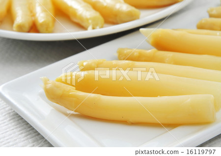 white asparagus 16119797