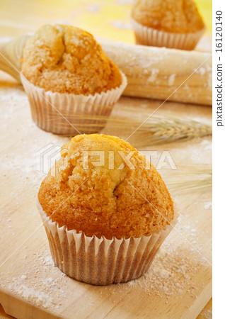 magdalenas, typical spanish plain muffins 16120140