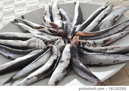 raw spanish boquerones, anchovies typical in Spain 16120288