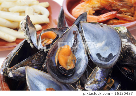 spansih seafood tapas 16120487