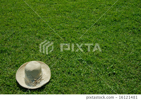 straw hat straw hat 16121481