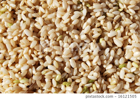 germinated brown rice, organic, brown rice 16121505