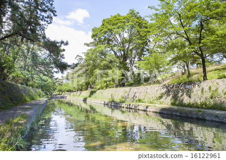 新鮮的綠色和流 新鮮的綠色和流 16122961