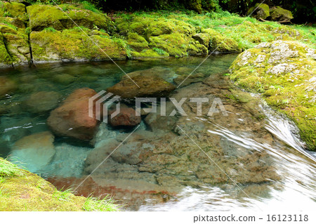 Clear water of Kikuchi Valley Clear water of Kikuchi Valley 16123118