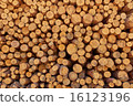 Pile of logs 16123196