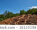 Forestry log placement area 16123198