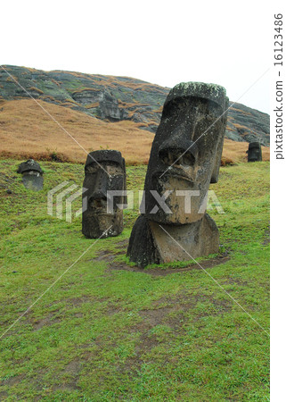 智利復活節島Rano Lalak Moai 16123486