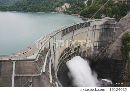 Early summer black four dam 16124085