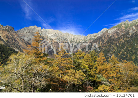Autumn leaves of Kamikochi Autumn leaves of Kamikochi 16124701