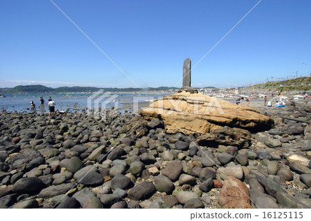 Waga Esashima 16125115