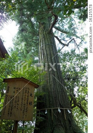 Sousa Shrine Oosugi 16125578
