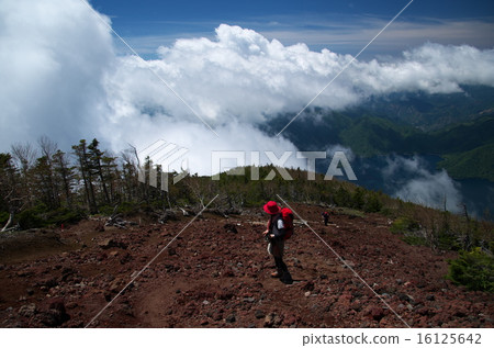 Nikko Mt. 16125642