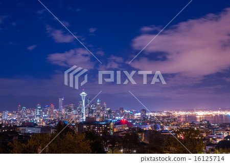 街市西雅圖夜視圖 16125714