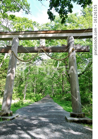Togakushi Shrine Okusha approach 16126155