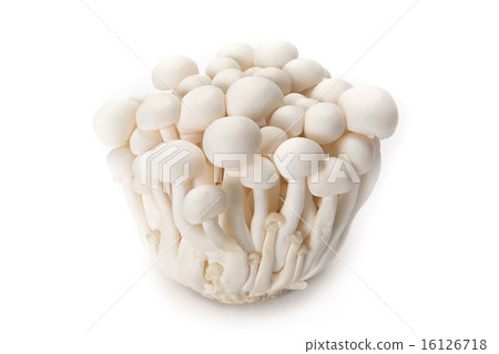 白色橫幅 16126718