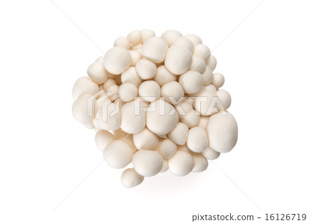 白色橫幅 16126719