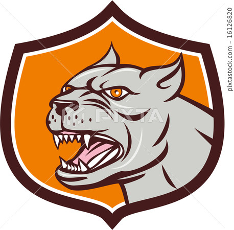 Pitbull Dog Mongrel Head Shield Cartoon Pitbull Dog Mongrel Head Shield Cartoon 16126820