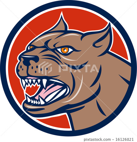 Pitbull Dog Mongrel Head Circle Cartoon 16126821