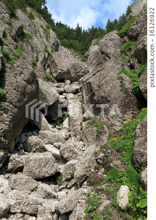 mountain valley 16126922