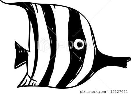Striped Fish 16127651